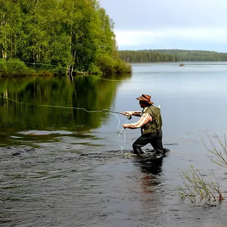 Hotelli Kainuu 3* Kuhmo