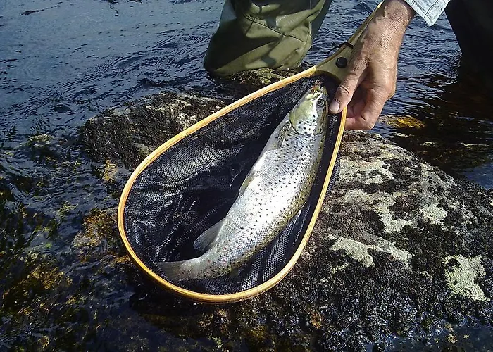 Szálloda Kainuu Kuhmo